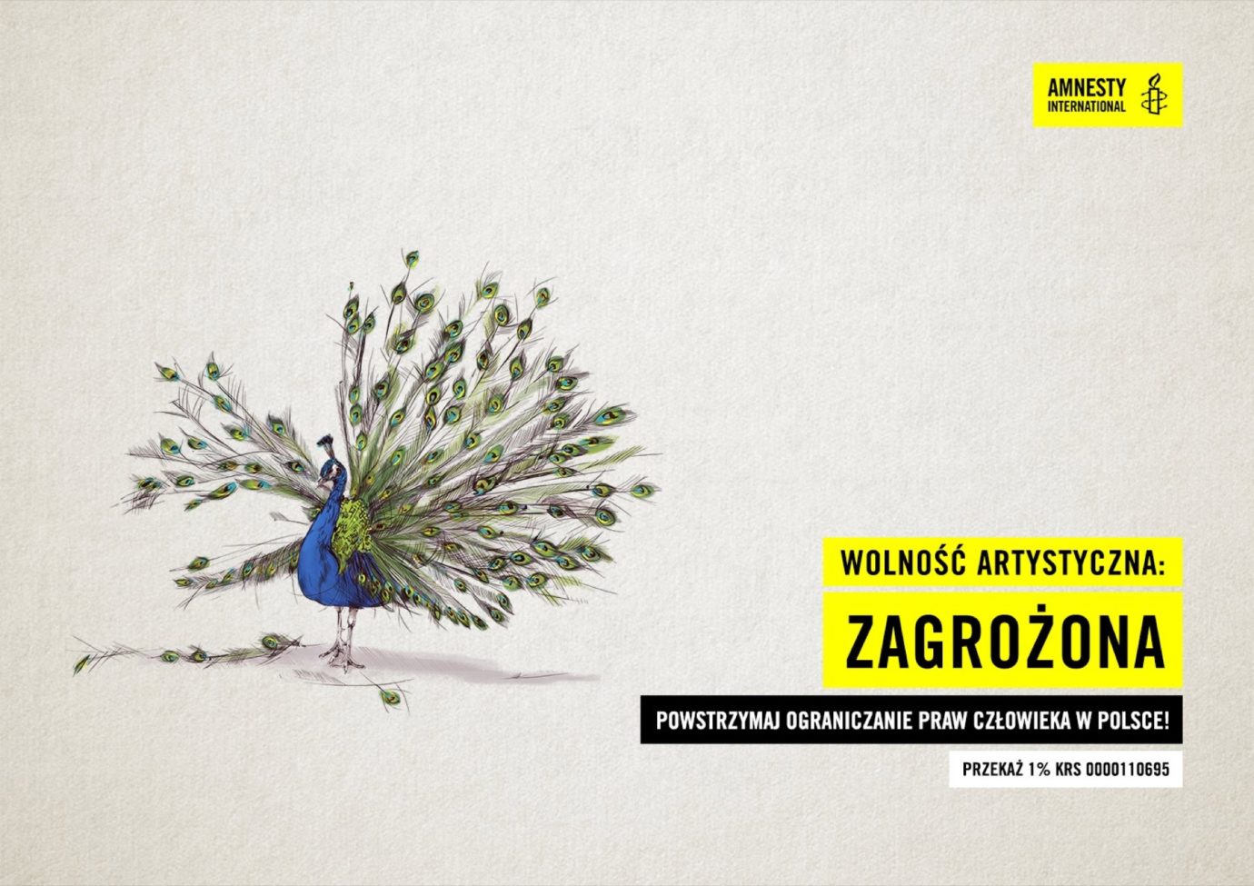 Klient: Amnesty International Polska / Agencja: TWIN. digital collective