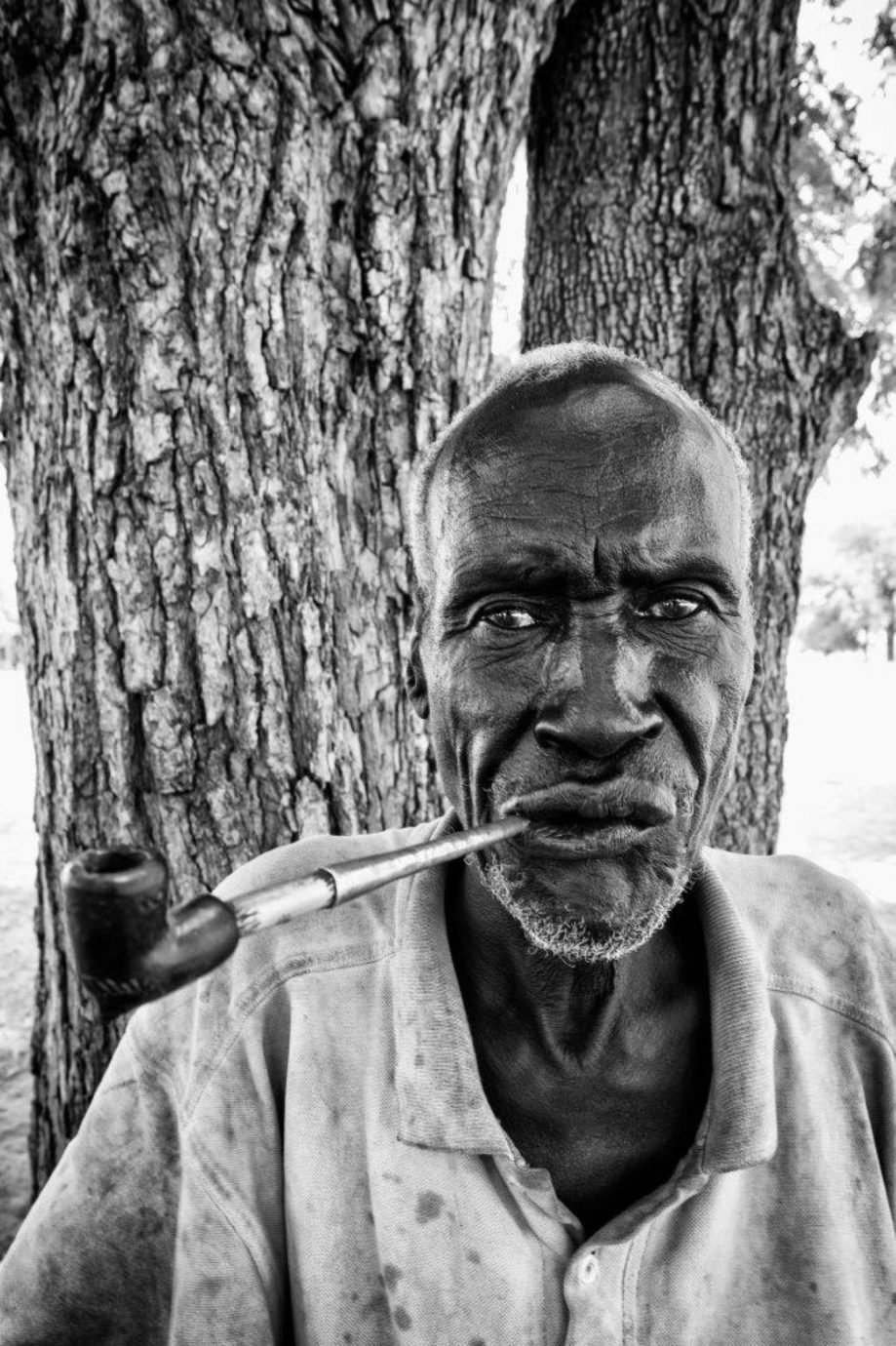 portrait / people